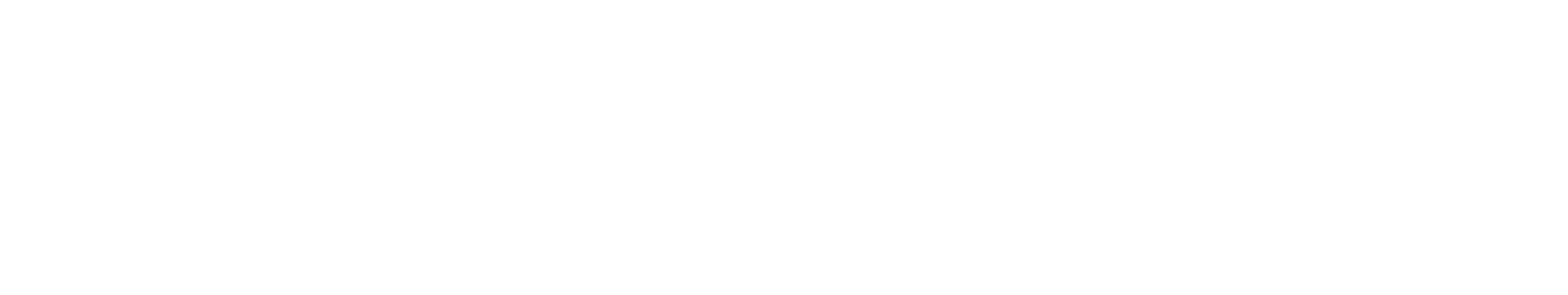 Rede Overland